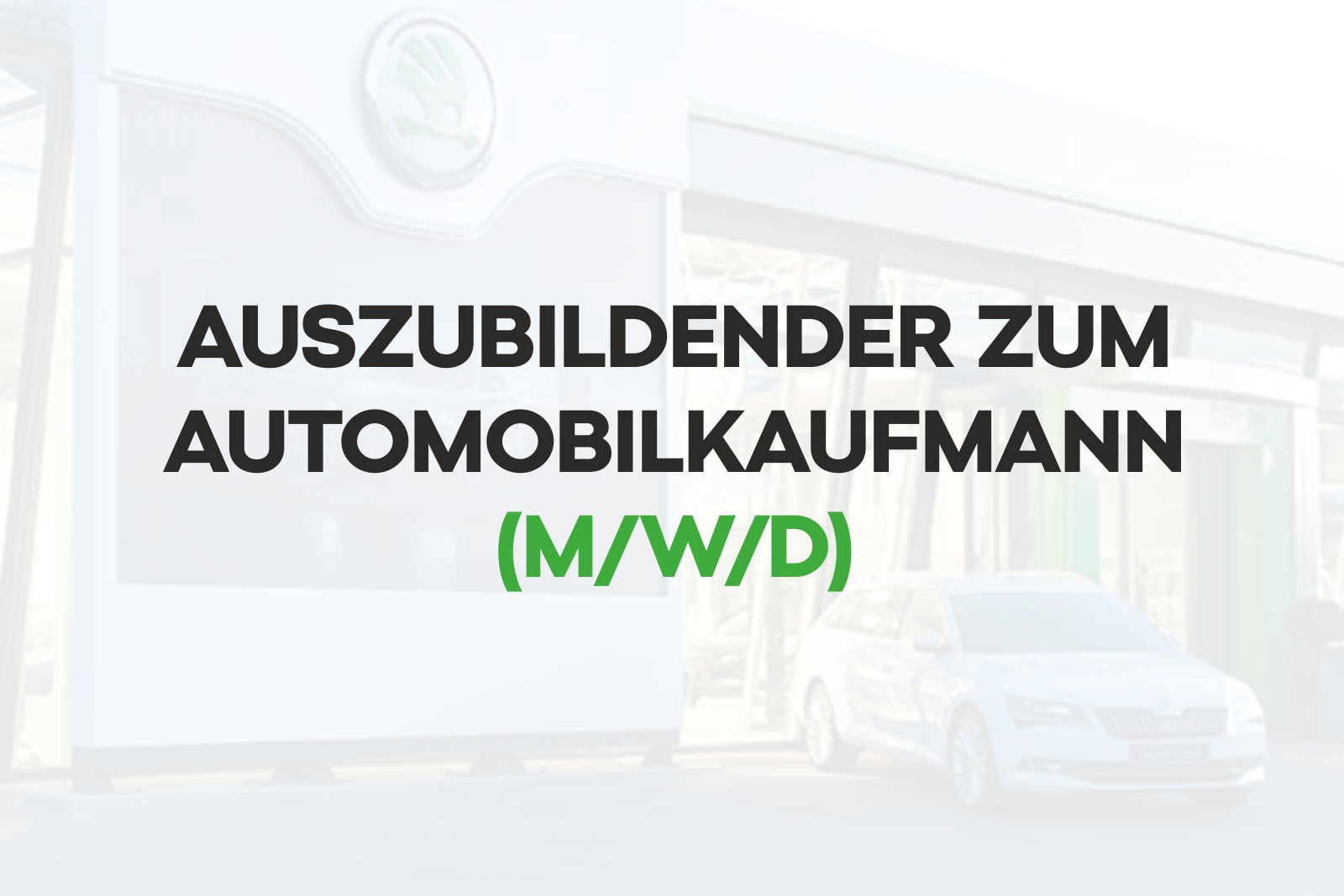 Auszubildender zum Automobilkaufmann (m/w/d)