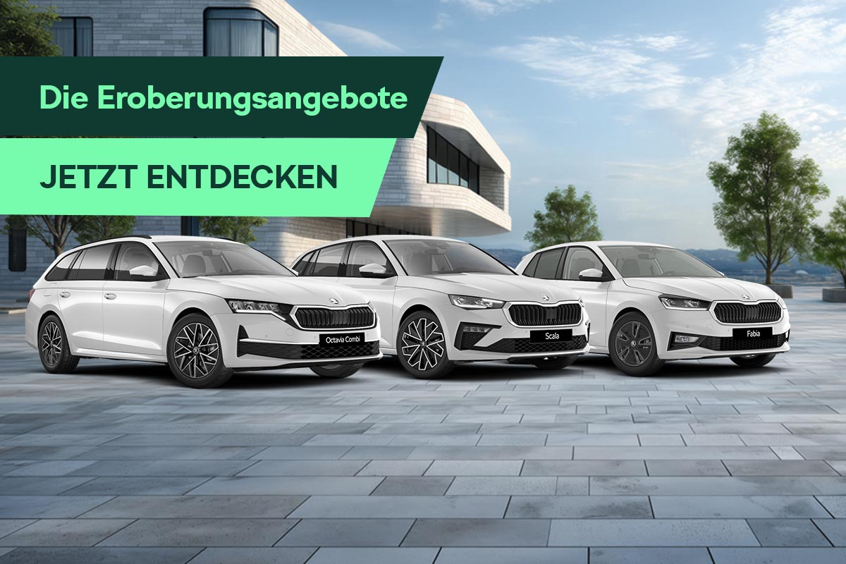 Die Eroberungsangebote