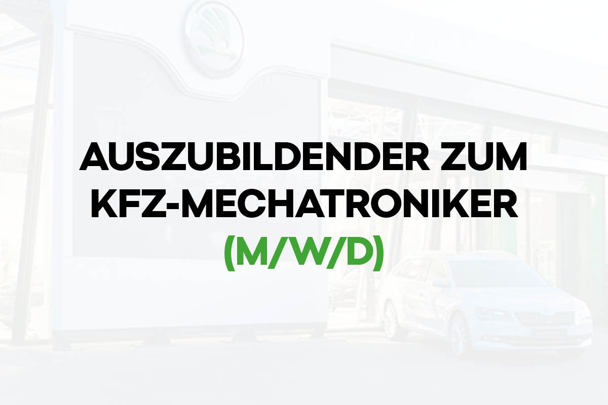 Auszubildenden zum Kfz-Mechatroniker (m/w/d)