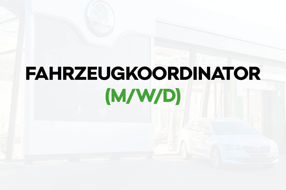 Fahrzeugkoordiantor (m/w/d)