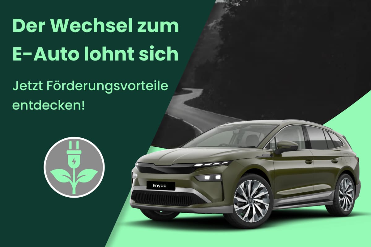 e-foerderung-content-2